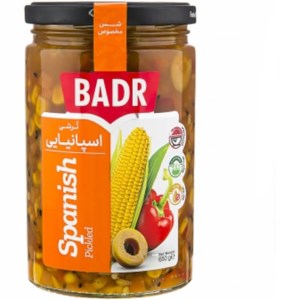 بدر ترشی اسپانیایی 650 گرم