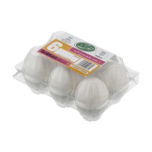 ترخون بانو تخم مرغ 6 عددی