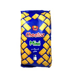 چی توز مینی کراکر نمکی بزرگ